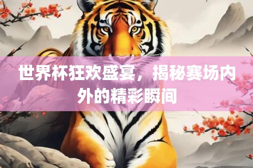 世界杯狂欢盛宴，揭秘赛场内外的精彩瞬间眉山市正发家政服务有限公司