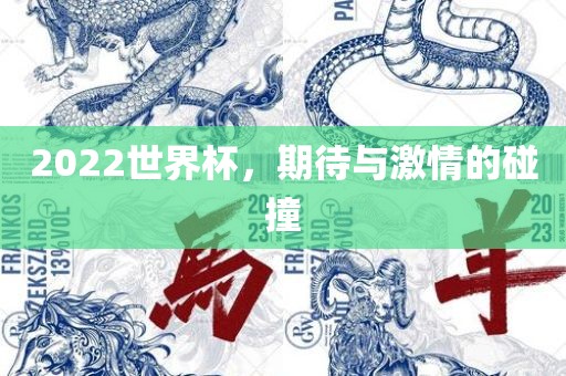 2022世界杯，期待与激情的碰撞眉山市正发家政服务有限公司