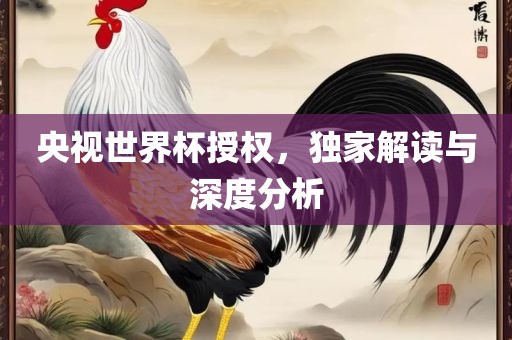 央视世界杯授权，独家解读与深度分析眉山市正发家政服务有限公司
