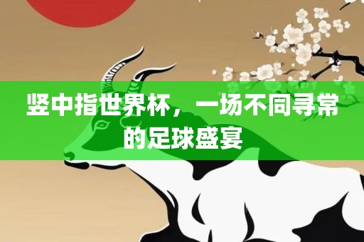 竖中指世界杯，一场不眉山市正发家政服务有限公司同寻常的足球盛宴