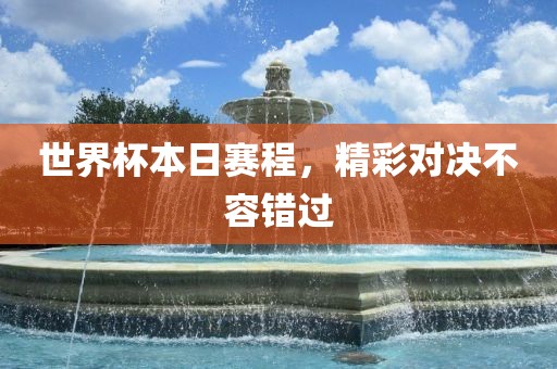 世界杯本日赛程，精彩对决不容错过眉山市正发家政服务有限公司