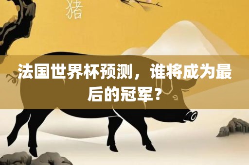 法国世界杯预测，谁将成为最后眉山市正发家政服务有限公司的冠军？