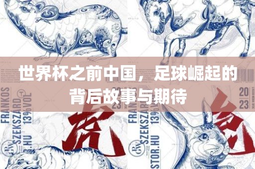 世界杯之前中国，足球崛起的背后故事与期待