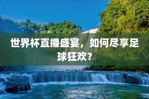 世界杯直播盛宴，如何尽享足球狂欢？眉山市正发家政服务有限公司