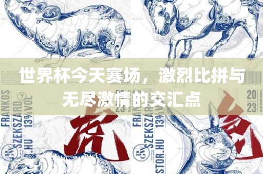 世界杯今天赛场，激烈比拼与无尽激情的交汇点眉山市正发家政服务有限公司