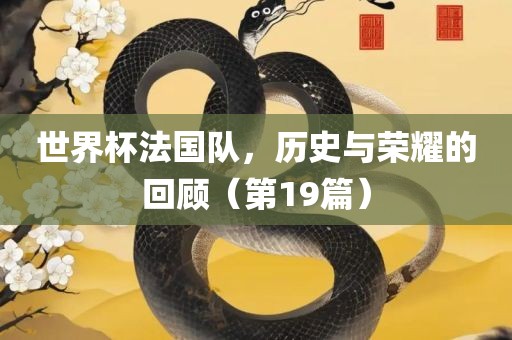世界杯法国队，历史与荣耀的回顾（第19篇）