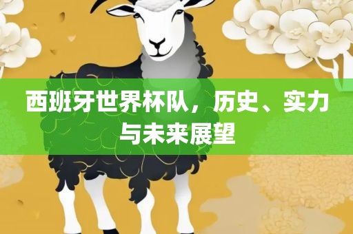 西班牙世界杯队，历史、实力与未来展望