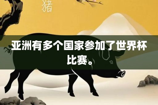 亚洲有多个国家参加了世界杯比赛。