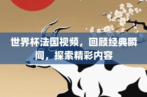 世界杯法国视频，回顾经典瞬间，探索精彩内容