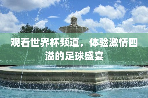 观看世界杯频道，体验激情四溢的足球盛宴眉山市正发家政服务有限公司