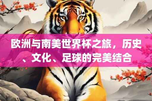 欧洲与南美世界杯之旅，历史、文化、足球的完美结合