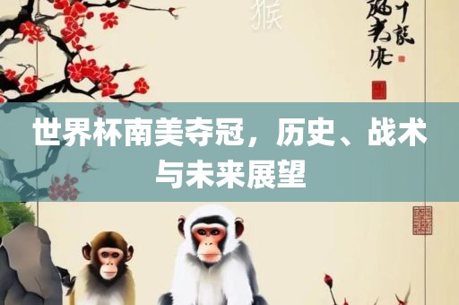 世界杯南美夺冠，历史、战术与未来展望