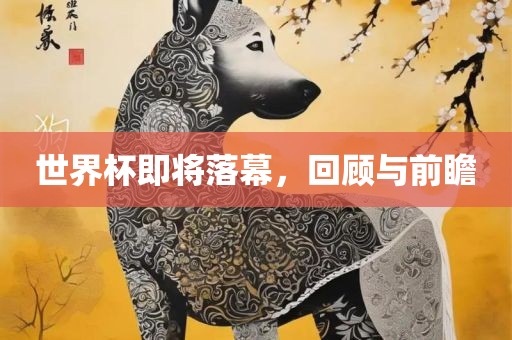 世界杯即将落幕，回顾与前瞻眉山市正发家政服务有限公司