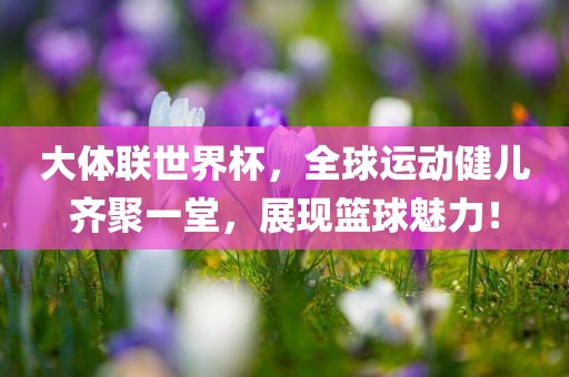大体联世界杯，全球运动健儿齐聚一堂，展现篮球魅力！眉山市正发家政服务有限公司