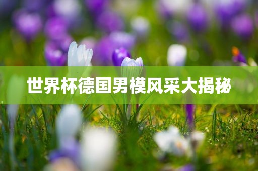 世界杯德国眉山市正发家政服务有限公司男模风采大揭秘