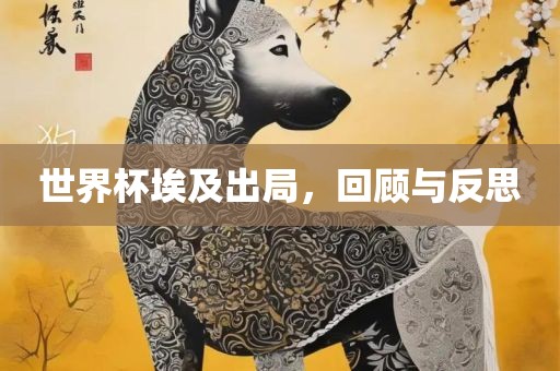 世界杯埃及出局，回顾与反思眉山市正发家政服务有限公司