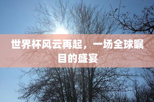 世界杯风云再起，一场全球瞩目的盛宴眉山市正发家政服务有限公司