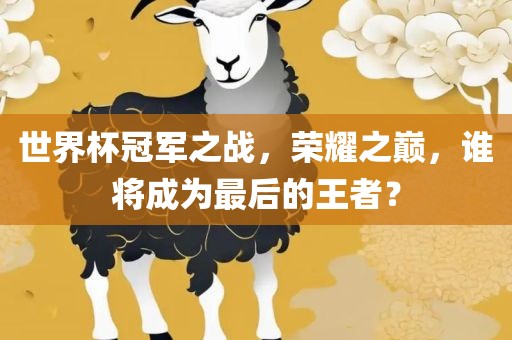 世界杯冠军之战，荣耀之巅，谁将成为最后的王者？眉山市正发家政服务有限公司