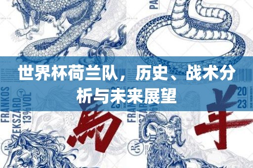 世界杯荷兰队，历史、战术分析与未来展望