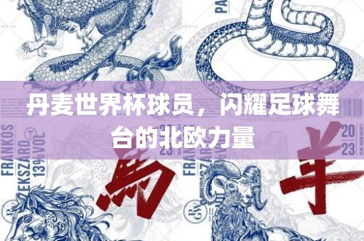 丹麦世界杯球员，闪耀足球舞台的北欧力量