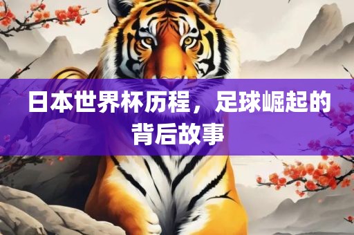 日本世界杯历程，足球崛起的背后故事