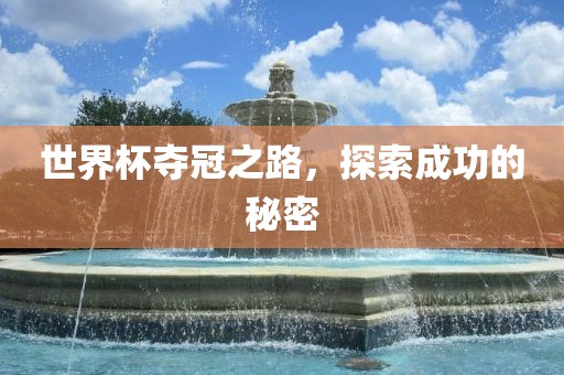 世界杯夺冠之路，探索成功的秘密