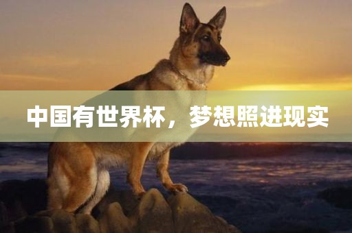 中国有世界杯，梦想照进现实眉山市正发家政服务有限公司