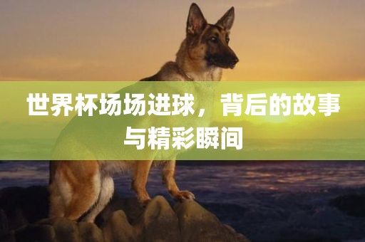 世界杯场场进球，背后的故事与精彩瞬间眉山市正发家政服务有限公司