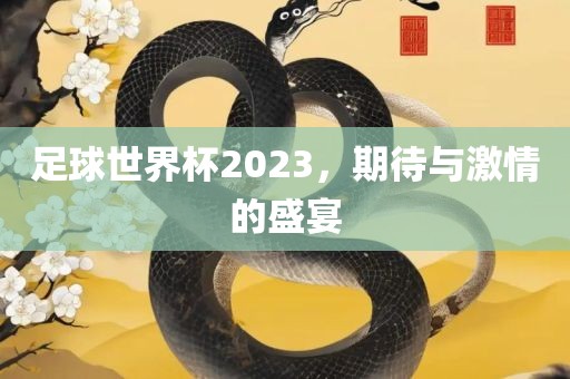 足球世界杯2023，期待与激情的盛宴