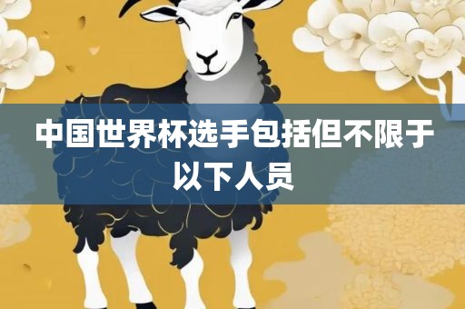 中国世界杯选手包括但不限于以下人员