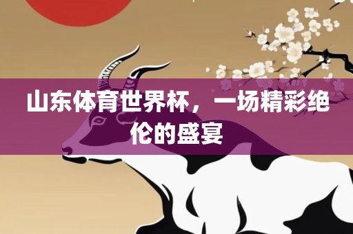 山东体育世界杯，一场精彩绝伦的盛宴