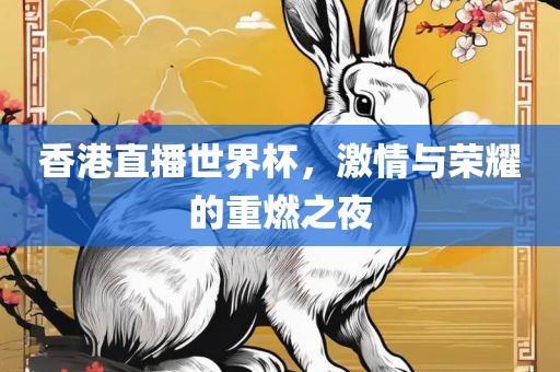 香港直播世界杯，激情与荣耀的重燃之夜
