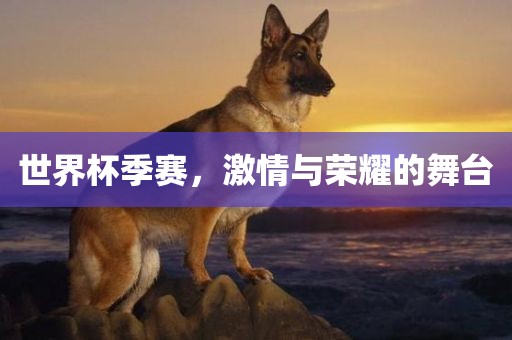 世界杯季赛，激情与荣耀的舞台