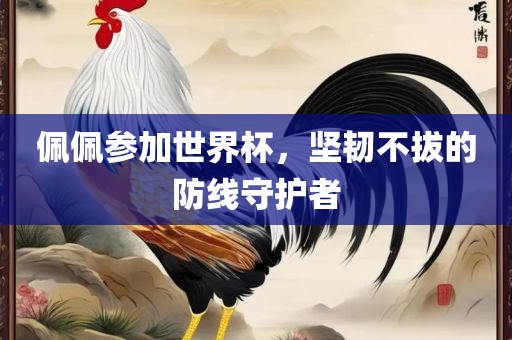 佩佩参加世界杯，坚韧不拔的防线守护者
