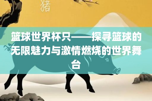 篮球世界杯只——探寻篮球的无限魅力与激情燃烧的世界舞台