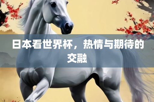 日本看世界杯，热情与期待的交融