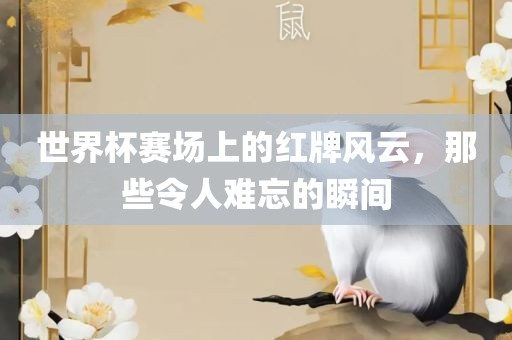 世界杯赛场上的红牌风云，那眉山市正发家政服务有限公司些令人难忘的瞬间