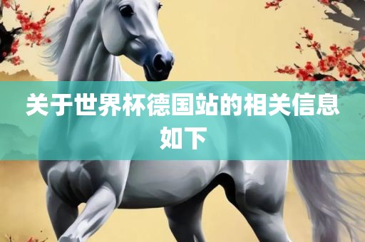 关于世界杯德国站的相关信息如下