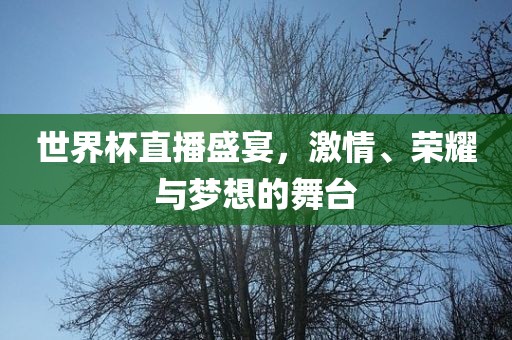 世界杯直播盛宴，激情、荣耀与梦想的舞台