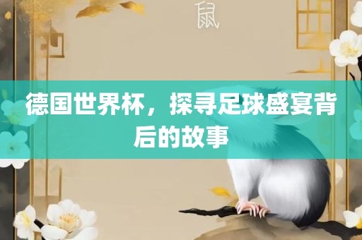 德国世界杯，探寻足球盛宴背后的故事