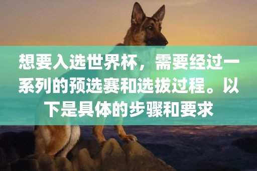 想要入选世界杯，需要经过一系列的预选赛和选拔过程。以下是具体的步骤和要求
