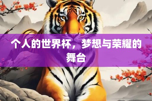 个人的世界杯，梦想与荣耀的舞台