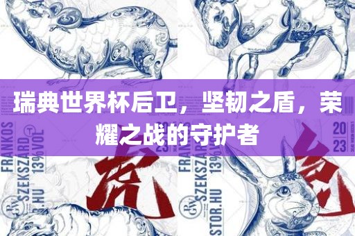 瑞典世界杯后卫，坚韧之盾，荣耀之战的守护者