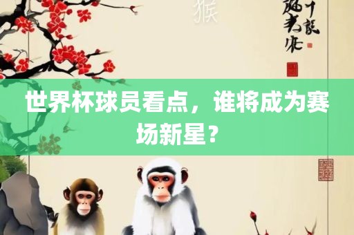 世界杯球员看点，谁将成为赛场新星？