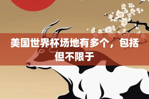 美国世界杯场地有多个，包括但不限于