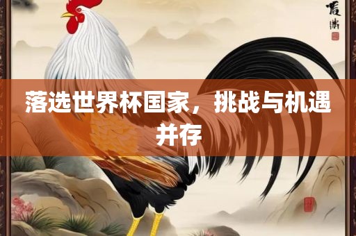 落选世界杯国家，挑战与机遇并存