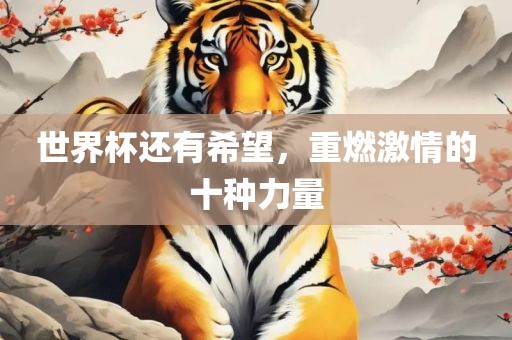 世界杯还有希望，重燃激情的十种力量