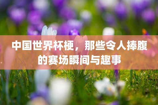 中国世界杯梗，那些令人捧腹的赛场瞬间与趣事