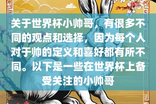 关于世界杯小帅哥，有很多不同的观点和选择，因为每个人对于帅的定义和喜好都有所不同。以下是一些在世界杯上备受关注的小帅哥