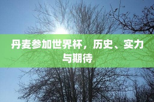 丹麦参加世界杯，历史、实力与期待